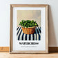 Watercress – on Striped Tablecloth, Vegetable Wall Art, in wooden frame leaning on the floor