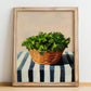 Coriander – on Striped Tablecloth, Fresh Herbs Still Life, no-text version framed in wood
