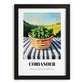 Coriander – Green Valley Landscape, Fresh Herbs Wall Decor, in sleek black frame