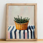 Thyme – on Striped Tablecloth, Fresh Herbs Still Life, no-text version framed in wood